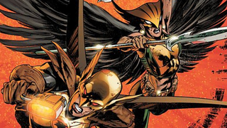 Illustration for article titled The Many, Maddeningly Convoluted Lives Of Hawkgirl